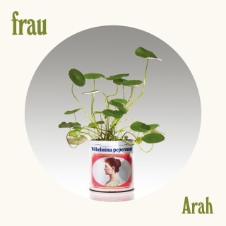 Frau_single_Arah